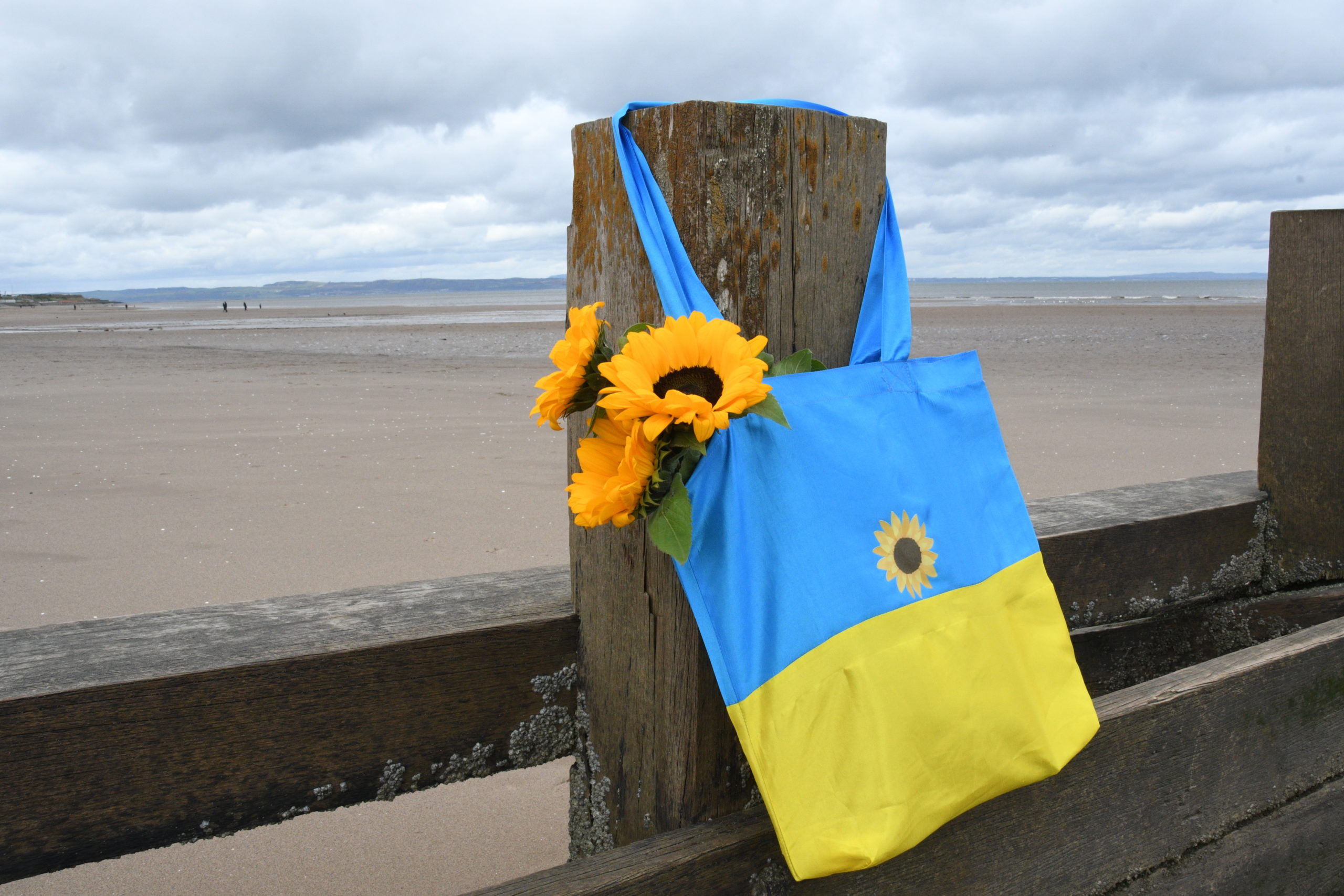Ukraine bag and sunflowers